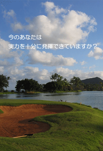 あなただけのためのレッスンです